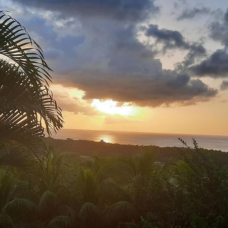 הוילה דסהייס Oasis De Grande Anse מראה חיצוני תמונה