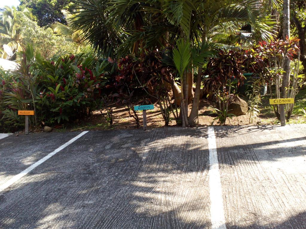 הוילה דסהייס Oasis De Grande Anse מראה חיצוני תמונה