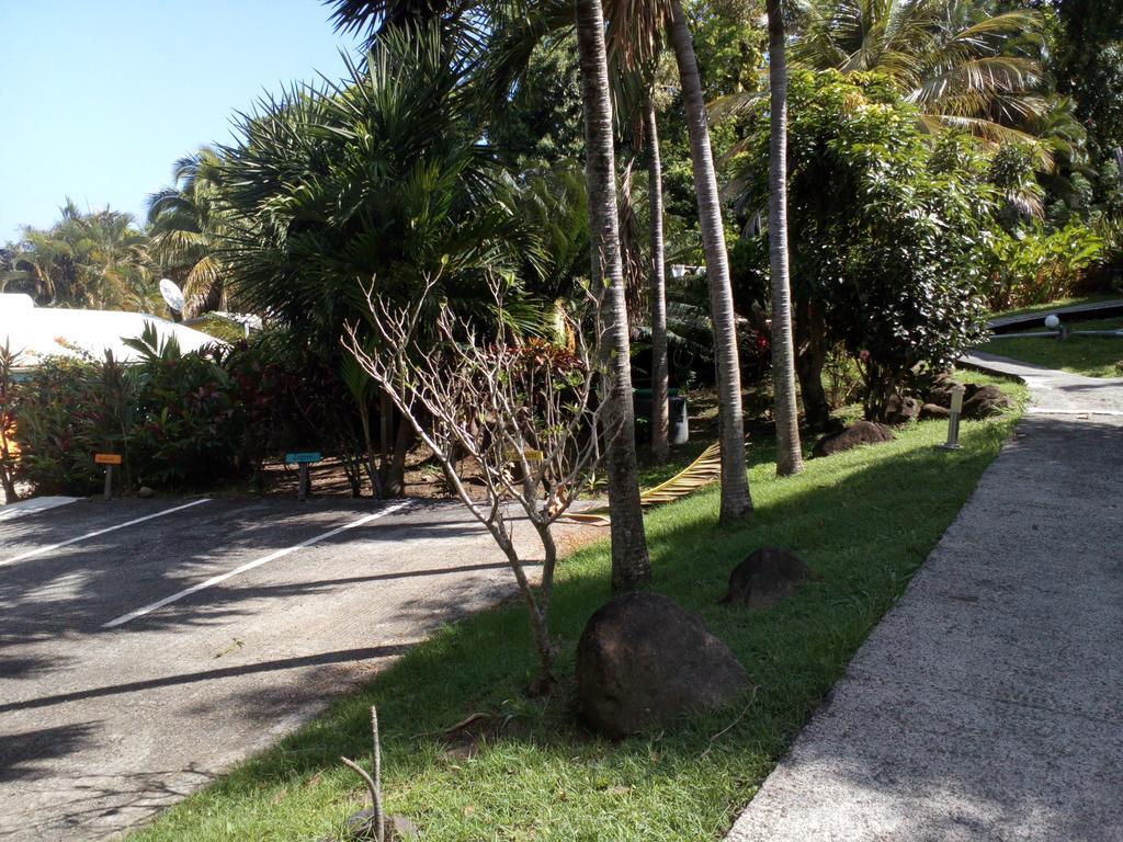 הוילה דסהייס Oasis De Grande Anse מראה חיצוני תמונה