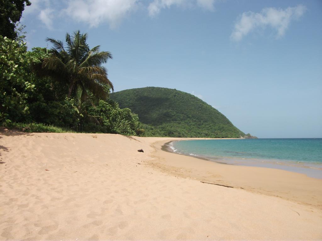 הוילה דסהייס Oasis De Grande Anse חדר תמונה